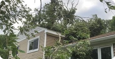 24/7 Emergency Tree Service