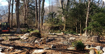 Lot Clearing
