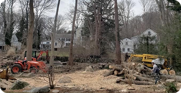 Stump Removal and Grinding