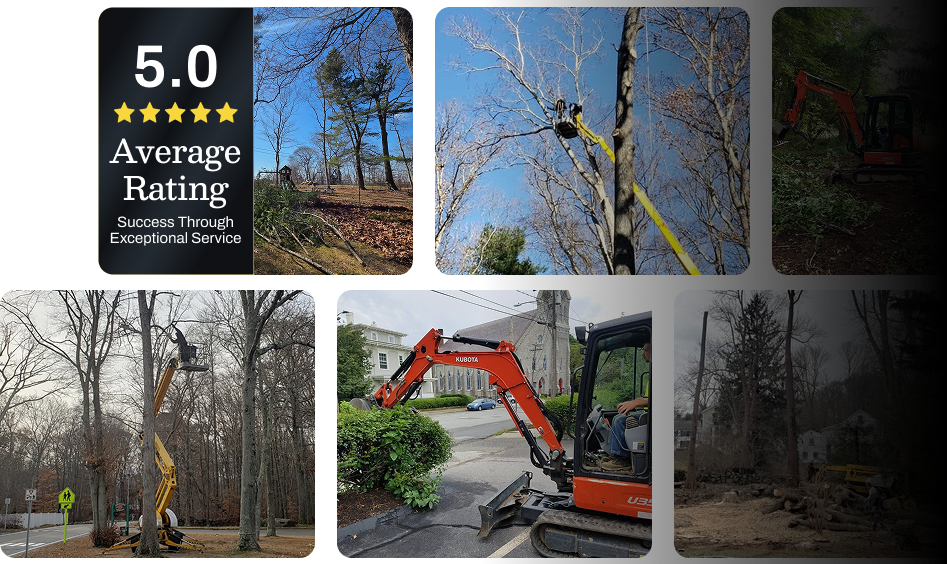 About H&H tree service
