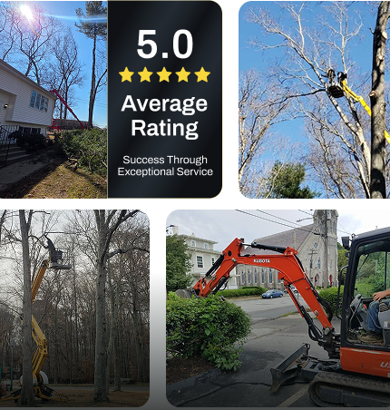 About H&H tree service
